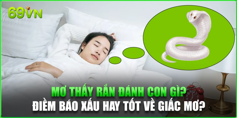 Mơ thấy rắn đánh con gì